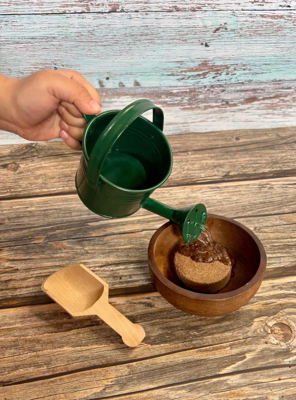 Grow Together Flower Kit