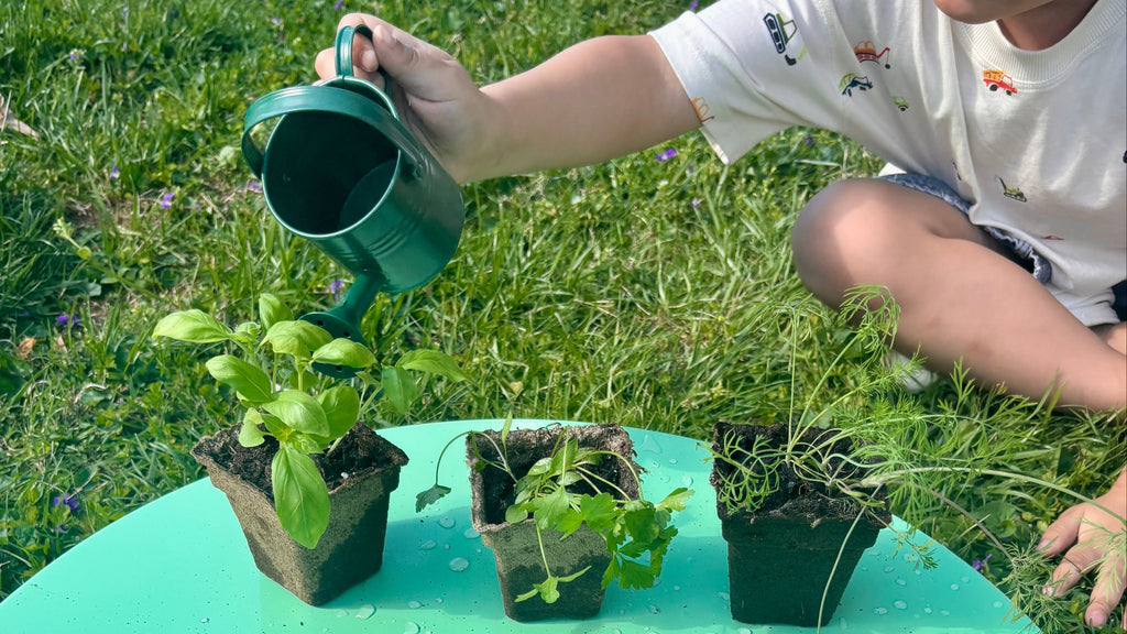 Grow Together Herb Kit